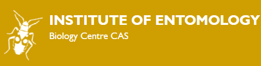 Laboratory of Ecology and Evolution of Social Insects