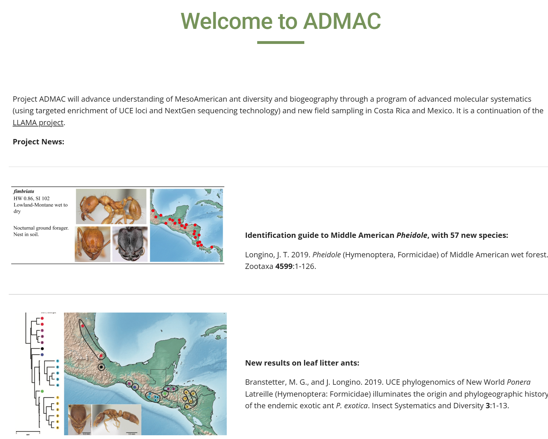 ADMAC ants